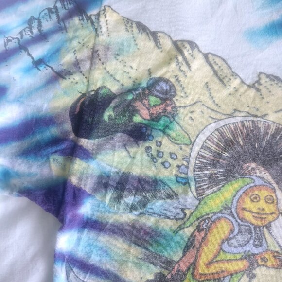 Vintage Allman Brothers Band T-shirt 1995 Tour Size XL Wild Oats All Over Print - Picture 5 of 16